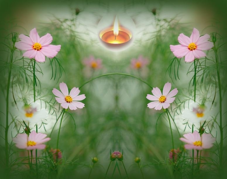 Oct  2018 News Letter