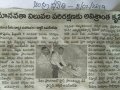 08-Feb-2019 Aandhra jyothi paper
