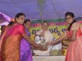 Distribution of Plants