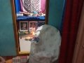 01-Aaradhana-ThoraChakram-Seethanagaram-18112019