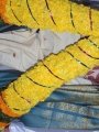 Sathuguru Dr.Umar Alisha