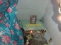02-WeeklyAaradhana-Gopalapuram-27Feb2020