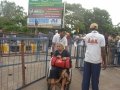Volunteer providing assistance to elderly at Gowthami ghat , Rajahmundry on 20th Jul 2015, 7th day of Godavari Pushkaralu