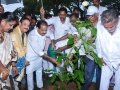 Guests planting at the  event of Kavisekhara  Dr.Umar Alisha  Statue unveiling at Boats Club, Kakinada