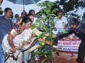 Guests planting at the  event of Kavisekhara  Dr.Umar Alisha  Statue unveiling at Boats Club, Kakinada