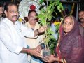 Sri. Thota Narasimham ( M.P., Kakianda)  distributing saplings