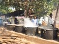 Food preparation for thousands of disciples attended - New Year Sabha 2016