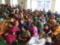 201608020-KrishnaPushkaraluSabha