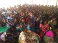 Karthika Masam Tour - Pampadhi peta, East Godavari District, AP