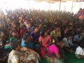Karthika Masam Tour - Pampadhi peta, East Godavari District, AP