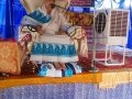 Sathguru Dr.Umar Alisha at Rajapudi ( jaggampetamandal)  Sabha in Vysakhamasam 2017 tour