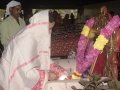 Tribute to Mathrumuthi Jahera Begham Peddamma Garu by Sadthuguru
