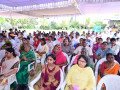 DSC_1358-Large