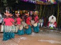 DSC_0285-Medium