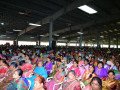 DSC_0900-Large-Medium