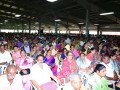 DSC_0903-Large-Medium