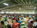 DSC_0909-Large-Medium
