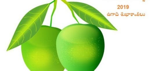 Vikari Nama Samvatsara Ugadi Subhakankshalu